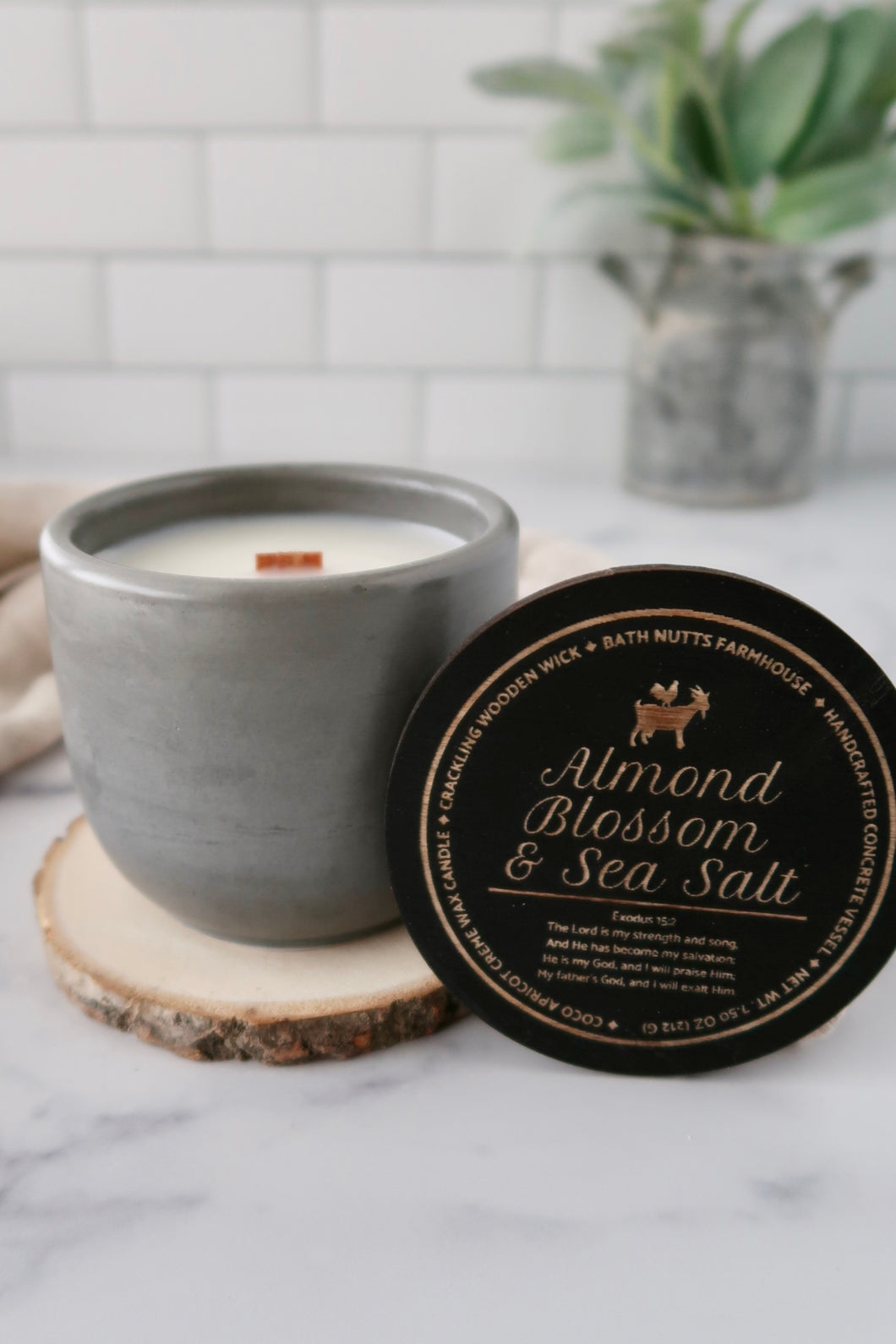 Almond Blossom & Sea Salt Concrete Candle in slate